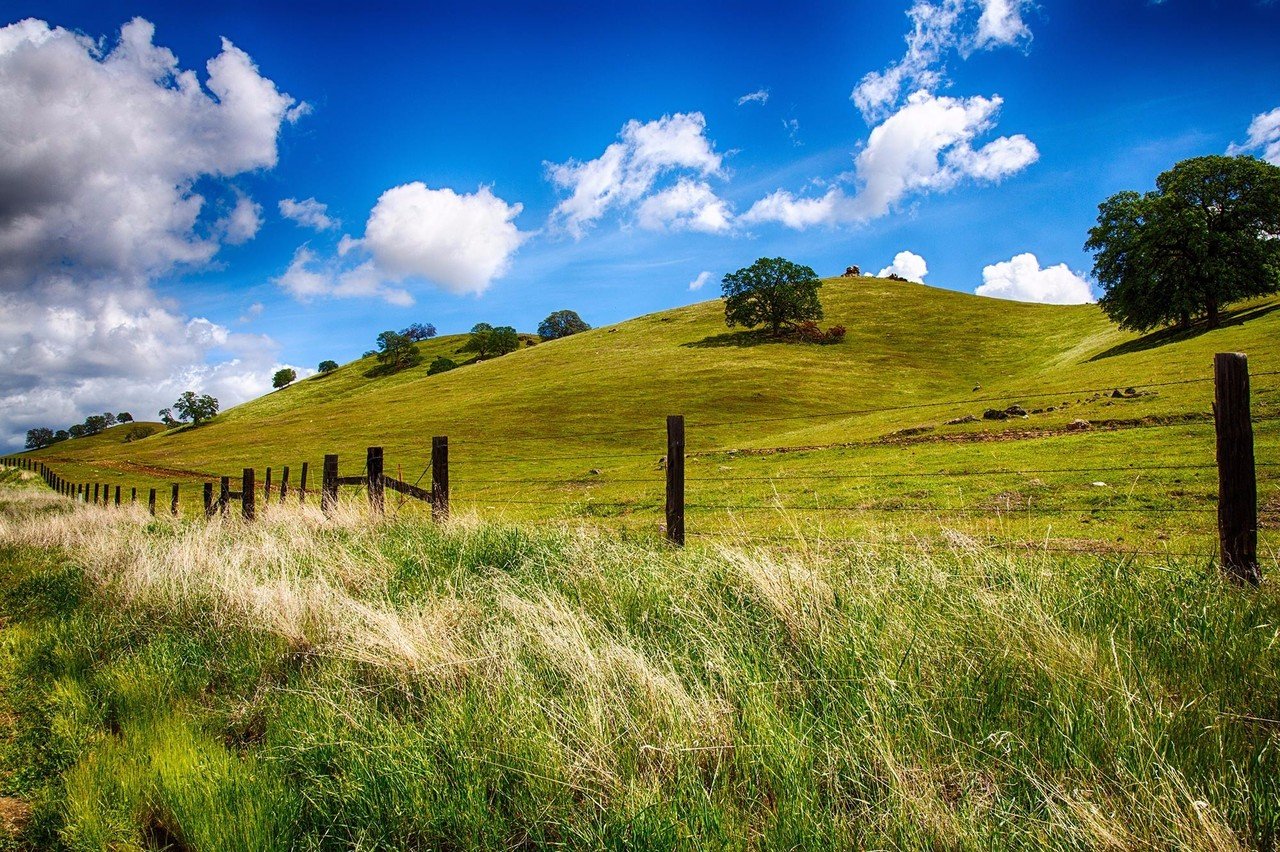 Rolling hills in Fresno, California